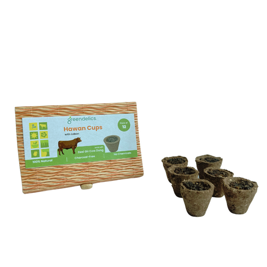 Greendelics Cow Dung Hawan Cups with Loban (Pack of 12)