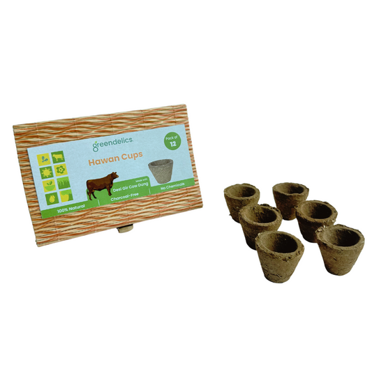 Greendelics Cow Dung Hawan Cups (Pack of 12)
