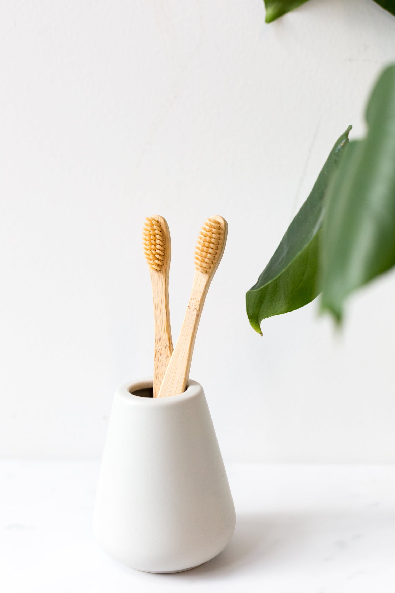 Toothbrush