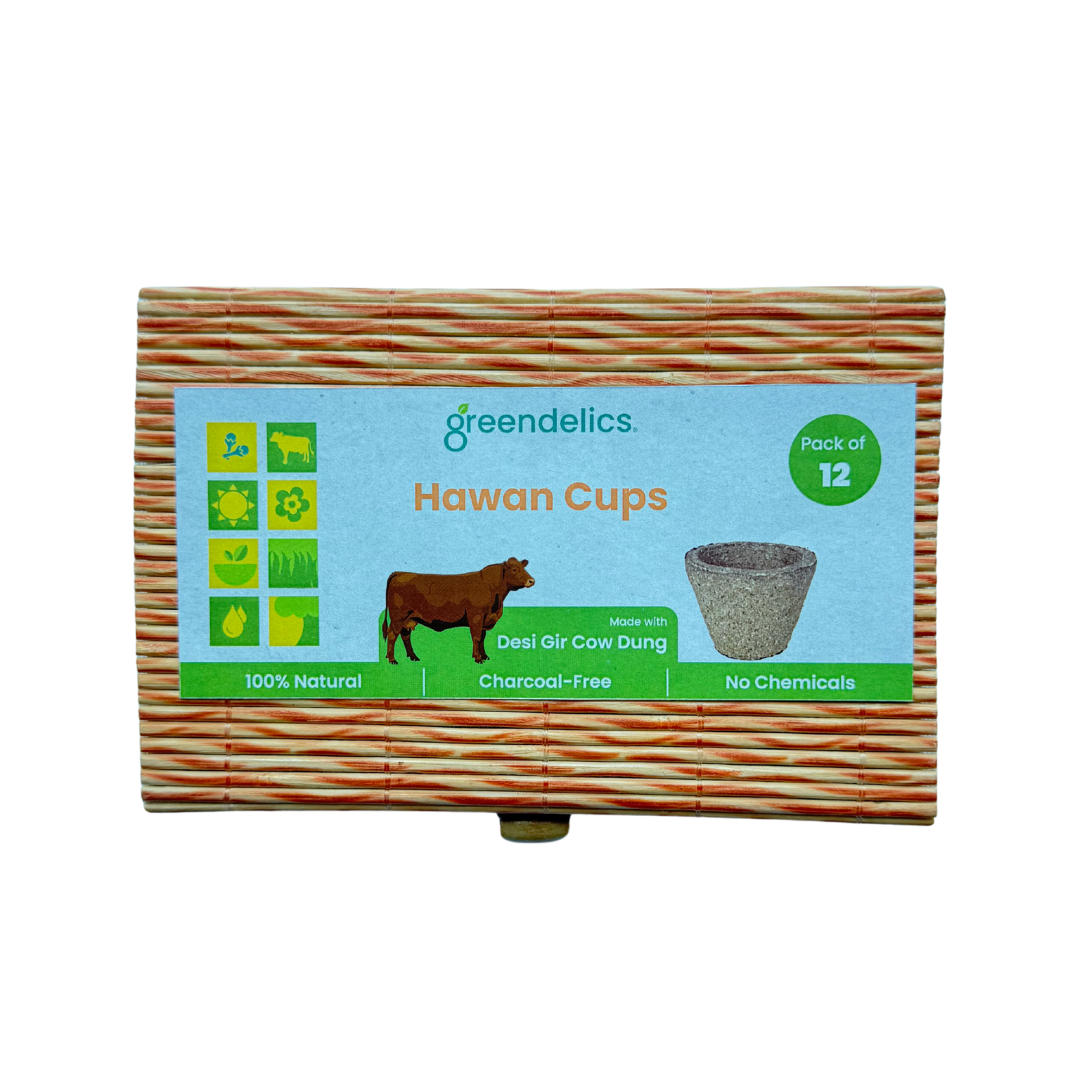 Greendelics Cow Dung Hawan Cups (Pack of 12)
